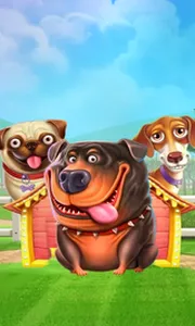 The Dog House